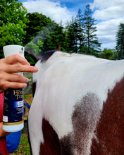 Load image into Gallery viewer, Detangle and Shine Spray