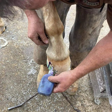 Load image into Gallery viewer, Hoof Juice - for thrush and other hoof issues