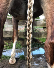 Load image into Gallery viewer, Mane & Tail Gloss