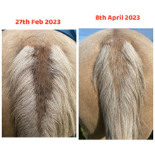 Load image into Gallery viewer, Mane Magic Hair Regrowth Balm
