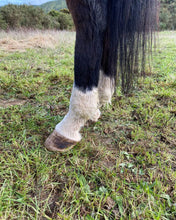 Load image into Gallery viewer, Mud Fever & Rain Scald Cream - 100% natural