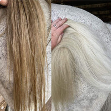 Load image into Gallery viewer, Bright White Horse Shampoo | Stain Remover &amp; Coat Brightener NZ