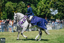 Load image into Gallery viewer, Ultra Shine Horse Coat Finishing Spray