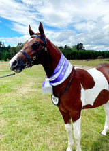 Load image into Gallery viewer, Bright White Horse Shampoo | Stain Remover &amp; Coat Brightener NZ