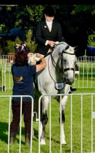 Load image into Gallery viewer, Ultra Shine Horse Coat Finishing Spray