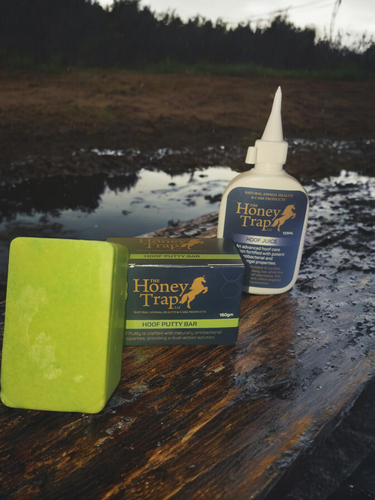 Hoof Care Bundle