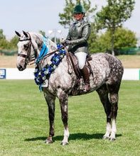 Load image into Gallery viewer, Bright white horse wash bar removing stains and brightening coat for show ring finish