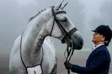 Load image into Gallery viewer, Black horse makeup enhancing coat colour for show ring finish