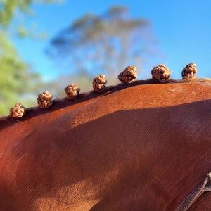 Stick It!  - plaiting aid