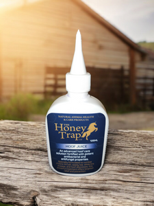 Hoof Juice - for thrush and other hoof issues