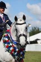 Load image into Gallery viewer, Ultra Shine Horse Coat Finishing Spray