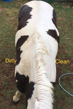 Load image into Gallery viewer, Bright white horse wash bar removing stains and brightening coat for show ring finish