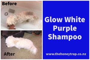 Glow White - Purple Shampoo